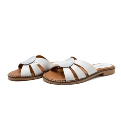 Ženska papuča 18990502